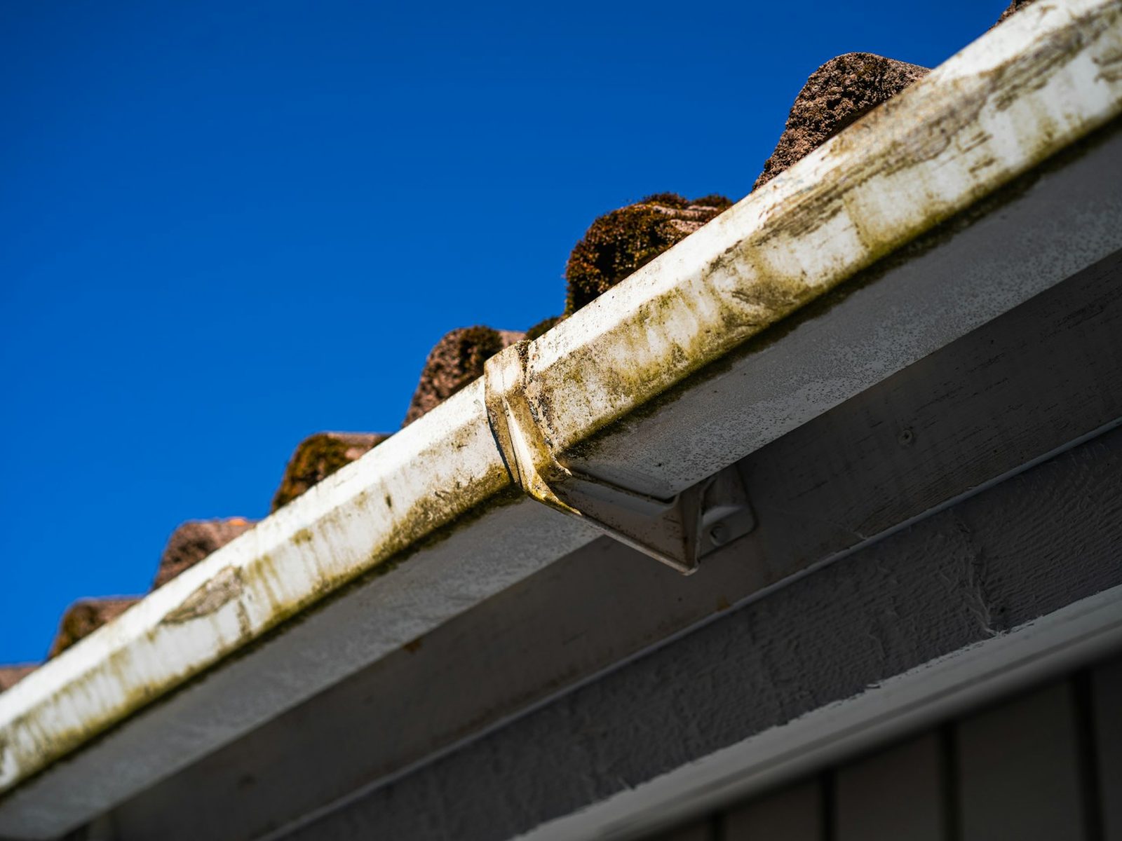 Gutters & roof check